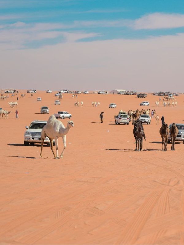 photo_2025-03-23_15-14-47