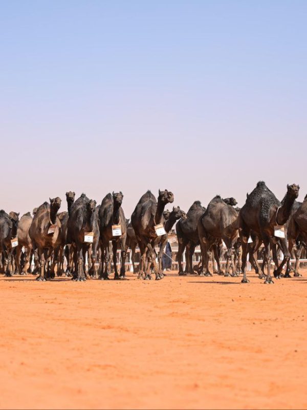 photo_2025-03-23_15-14-52
